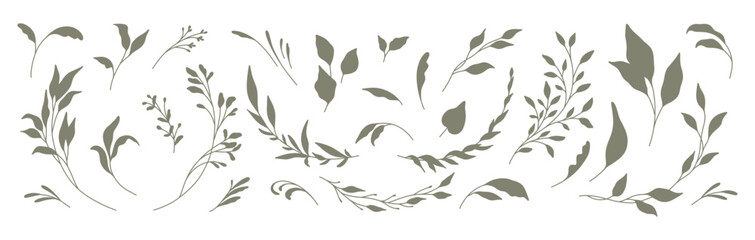 Fototapeta Set of silhouettes of branches and leaves. Hand drawn vector botanical elements obraz