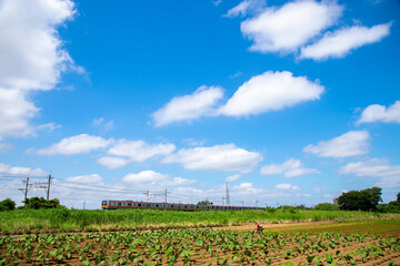 青空と畑と電車