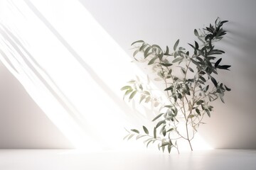 Light from a window on a white wall and branch of tree or plant. Generative AI