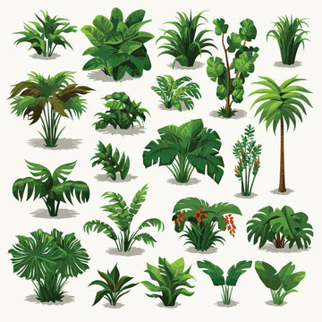 Jungle vegetation set isometric vector flat isolated illustration