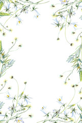 White campanula frame, wild flowers, floral elements. Stock illustration on a white background. Hand painted in watercolor.