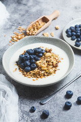 Granola with yogurt and blueberries in a plate on a gray background