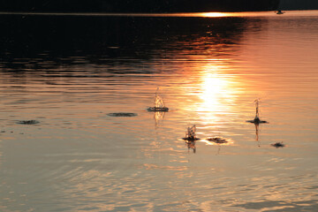 sunset on the lake
