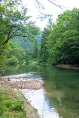 新緑の清流