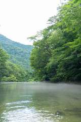 新緑の清流