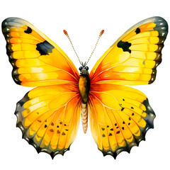 Yellow watercolor butterfly clipart with transparent background, created with generative AI technology
