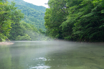 新緑の清流