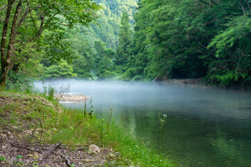 新緑の清流