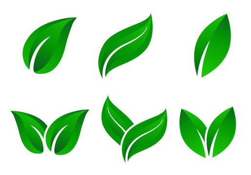 Set of green leaf logo design vector icons