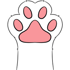 cat foot.