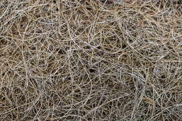 NATURAL COCONUT FIBER TEXTURED BACKGROUND