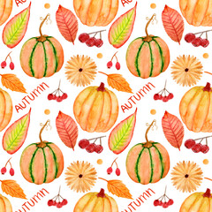 Watercolor pattern with colorful pumpkins, botany elements, text on a white background. For thanksgiving, wrapping etc.