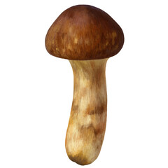 松茸のイラスト