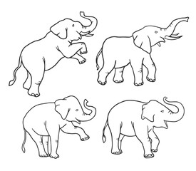 Fototapeta premium black and white Elephant vector illustration consisting of three images