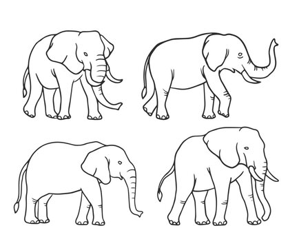 black and white Elephant  vector illustration consisting of three images