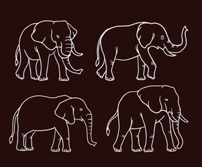 Fototapeta premium Elephant vector illustration with white outline consisting of three images