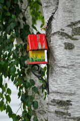 Red birdhouse on a white birch tree