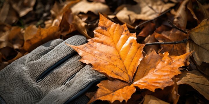  tranquil scene in a park, where a pair of gloves rests gently among fallen leaves. The image showcases the vibrant autumn foliage and the textured surface of the g  Generative AI Digital Illustration