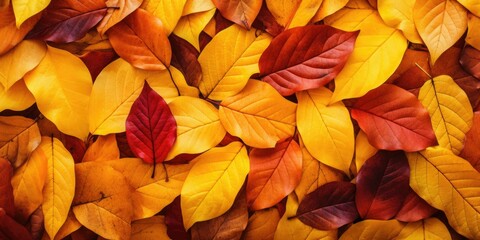 Fototapeta na wymiar captivating autumn background filled with a carpet of yellow and red fallen leaves. The photograph captures the beauty of the fallen foliage, arranged in a natural Generative AI Digital Illustration