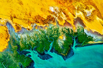 Adair Bay in Mexico. Digital Enhancement. Elements by NASA