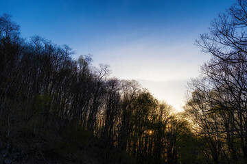 Blue Ridge Parkway in North Carolina, USA