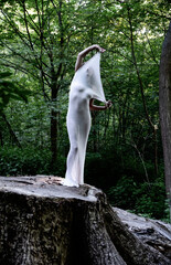 artistic photo of young sexy elegant nude woman, her body wrapped in long skin tight white dress highlighting body shapes, as living statue in nature forest