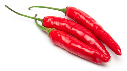 Red Chili Pepper Isolated. Realistic Red Chili Pepper on a White Background.