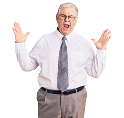 Senior grey-haired man wearing business clothes celebrating mad and crazy for success with arms...