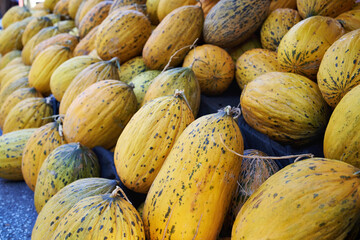Yellow pumpkins on display at the farmers market