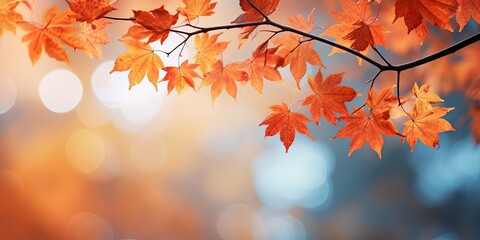Vibrant Orange Leaves Adorn the Blurred Sky, Creating an Enchanting Autumn Nature Background Enhanced with Bokeh. Immerse Yourself in the Beauty of the Season as Na  Generative AI Digital Illustration