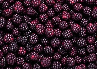 Professional photography of Pattern of Boysenberries fruits. Gen