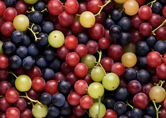 Professional photography of Pattern of Burmese Grapes fruits. Ge