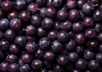 Professional photography of Pattern of Damsons fruits. Generativ