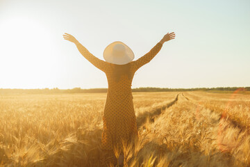 Beautiful young woman walks across the field and touches rye with her hand. Girl in the rays of the sunset. Freedom and happiness concept.