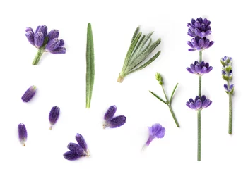 Schilderijen op glas Collection of Lavender flowers isolated on white background. Lavender flower design elements for alternative and herbal medicine and beauty therapy. © Inna Dodor