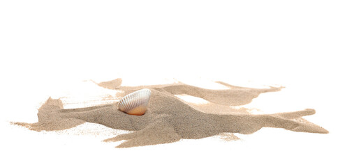 Sea shell in sand pile isolated on white background, side view © dule964