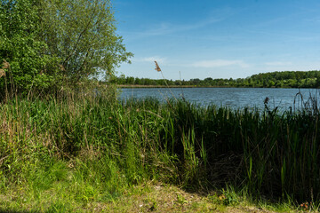 Żabie Doły - nature and landscape protected area