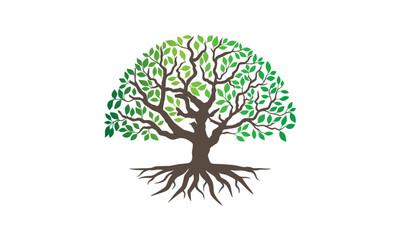 Tree vector illustrations roots mangrove tree vector isolated
