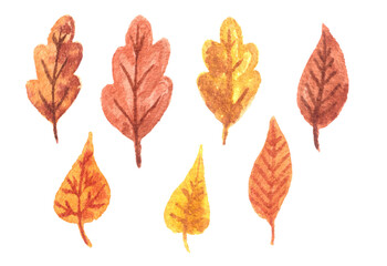 Watercolor set collection of little autumn fall leaves in red orange yellow colors.Oak and aspen tree leaf isolated aquarelle elements