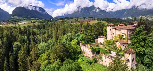Foto op Plexiglas Most scenic medieval castles of Italy - Castel Campo in Trentino region, Trento province. Aerial drone panoramic  view © Freesurf