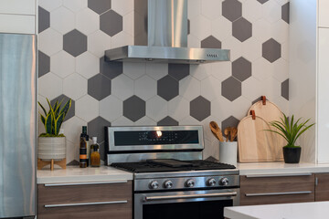 Modern kitchen details of gas stove, cutting boards, plants, and large honeycomb tile backsplash.