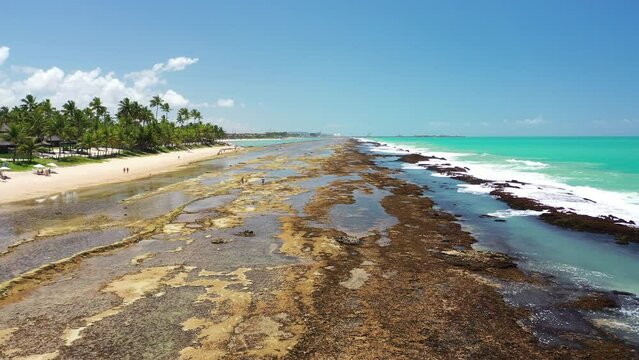 Praia de Muro Alto visto de Cima com Drone 4k - Ipojuca - Recife - Pernambuco - Brasil