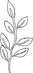 Branch with leaves line drawing.