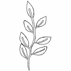 Branch with leaves line drawing.