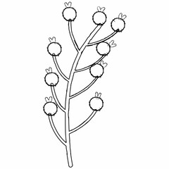 Branch with berries line drawing.