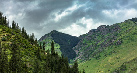 Obraz premium landscape with clouds