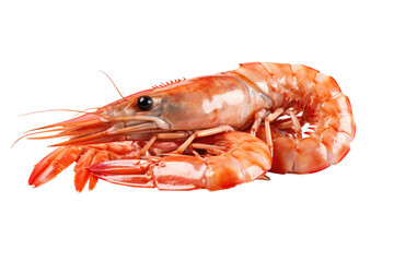 A mouth watering shrimp, isolated, white background, generative ai