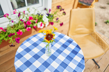 Table with flowers in a vase. Flower field on the sunny morning. Beautiful flower seedlings growing in the soil at the garden. Gardening hobby concept.