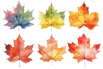 Naklejka na ściany i meble Watercolor set of beautiful colorful autumn leaves