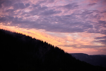 Carpathians, mountains in the fog, landscape of summer landscapes